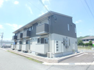 プラムコートの画像