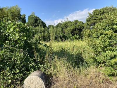 【外観】 | 薩摩川内市山之口町　土地