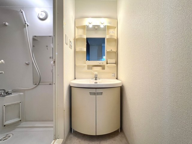 レジディア京町堀の洗面所
