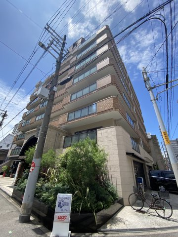 アルカディアイン