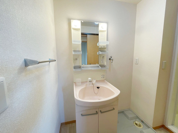 ボナール07の洗面所