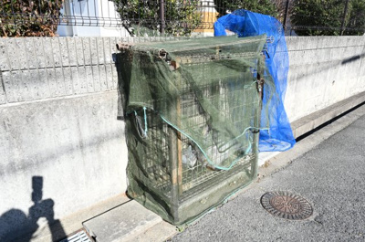 【その他共用部分】 | サンルピナス石井