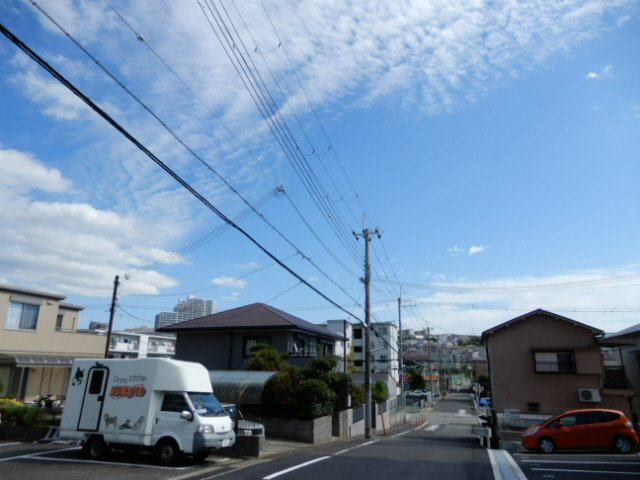 トレビアンコートの展望
