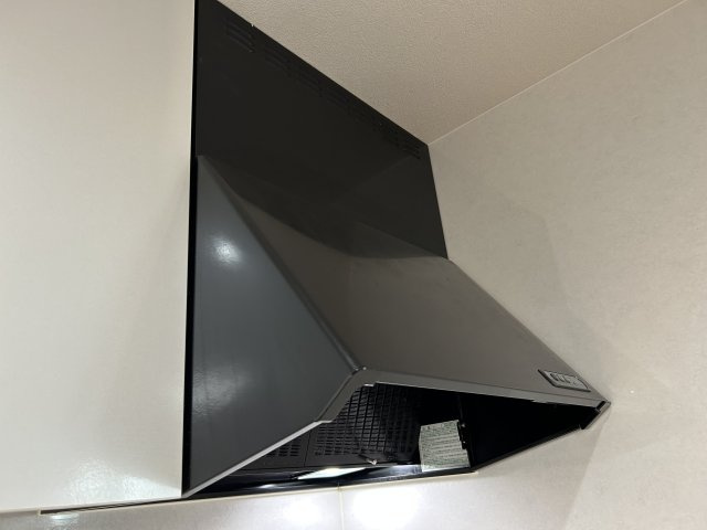 パルフラッツ王居殿のその他