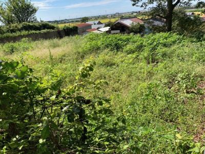 【周辺】 | 【売地】五城目町小池岡本