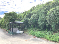 糟屋郡粕屋町大字大隈字原　土地