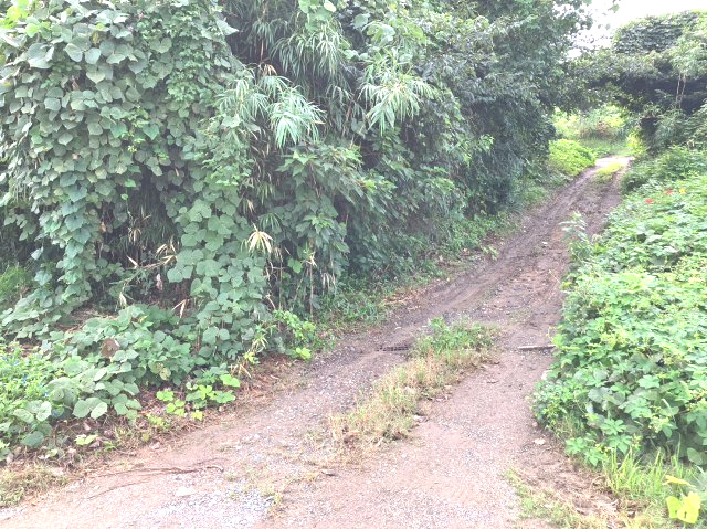 糟屋郡粕屋町大字大隈字原　土地の外観|駐車場や資材置き場としていかがですか？