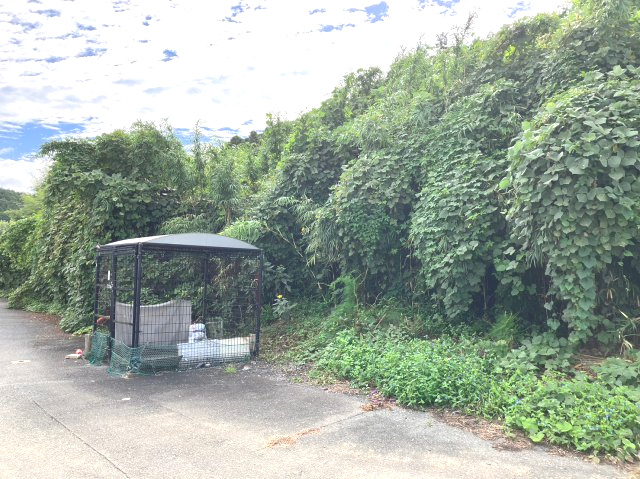 糟屋郡粕屋町大字大隈字原　土地の外観|糟屋郡粕屋町大隈約140坪の土地です！