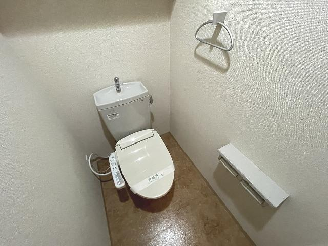 DSタワー平尾駅前レジデンスのトイレ|DSタワー平尾駅前レジデンス（1LDK）