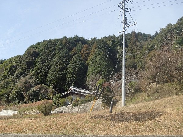 【周辺】 | 柳井・伊保庄