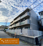 グリーンエクセル柴原の画像
