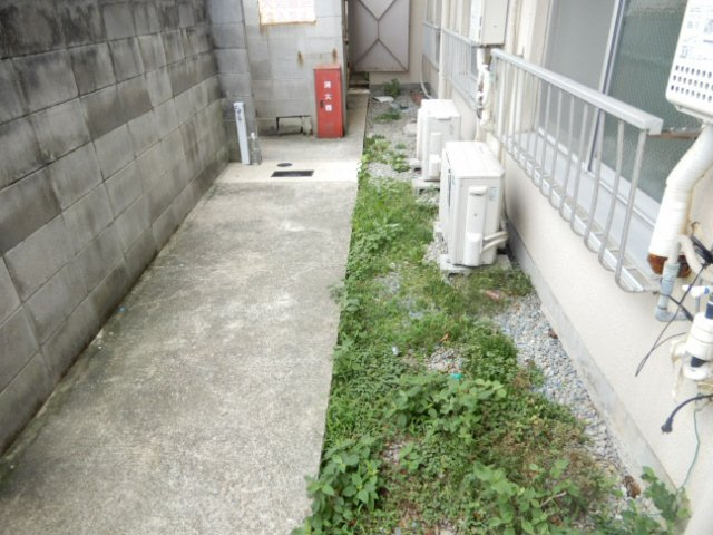 スカイコート