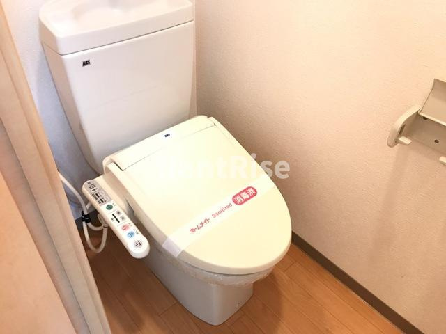 ラッキーズハイツⅡのトイレ|シャワー付トイレ