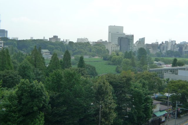【展望】