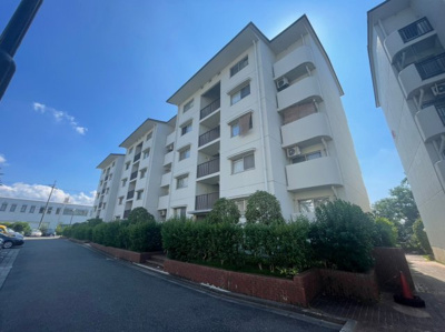 【外観】 | 和泉府中団地10棟 | 外観です