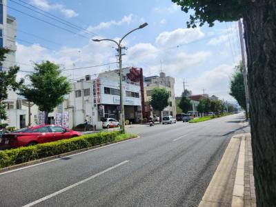 ジオ西大路御池ザ・テラスの地図|前面道路