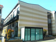 フェリチタの画像