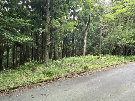 【前面道路含む現地写真】 | 東急天城高原別荘地　売地