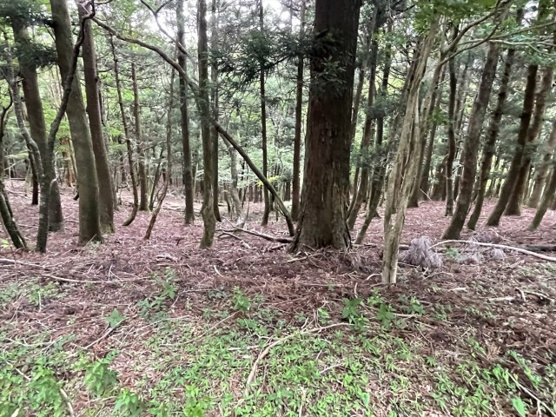 【外観】 | 東急天城高原別荘地　売地