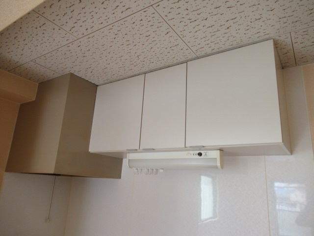 プラスパラス・ヒラノのその他