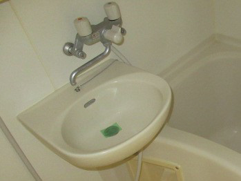 プラスパラス・ヒラノの洗面所