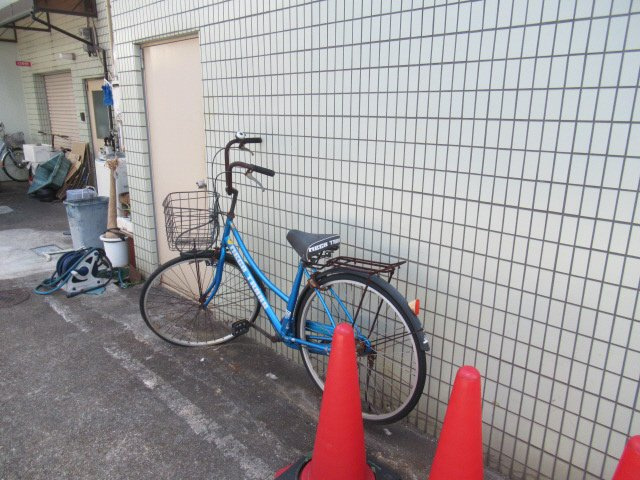 プラスパラス・ヒラノのその他