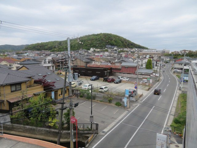 ソフィア辻井の展望