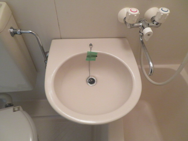 ソフィア辻井の洗面所