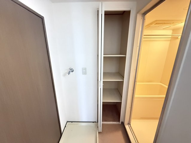 シャルマンフジ二色の浜ローヤルグランポートの洗面所