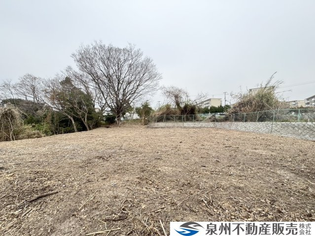 岸和田市流木町　条件なし土地の外観|前道広々とした、741.00㎡（約224.15坪）の広大な土地◎資材置き場等でもお使いいただけます