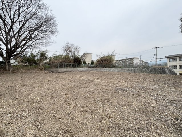 岸和田市流木町　条件なし土地のその他|前道広々とした、741.00㎡（約224.15坪）の広大な土地◎資材置き場等でもお使いいただけます