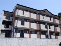 ヴィオラＧの画像