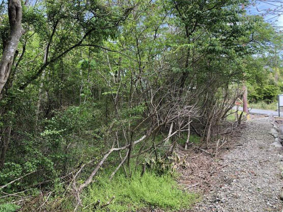 【外観】 | 大室高原別荘地　売地