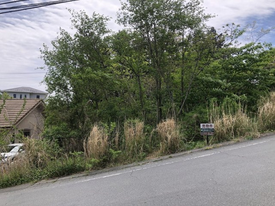 【外観】 | 大室高原別荘地　売地