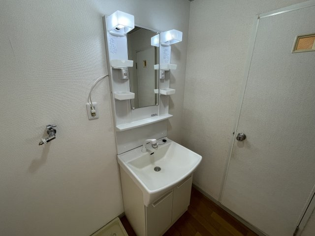 グリーンレジデンスの洗面所