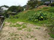 柳井・大畠の画像