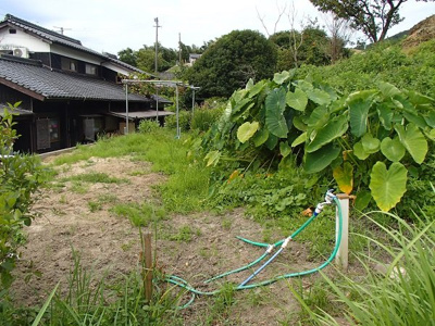 【周辺】 | 柳井・大畠