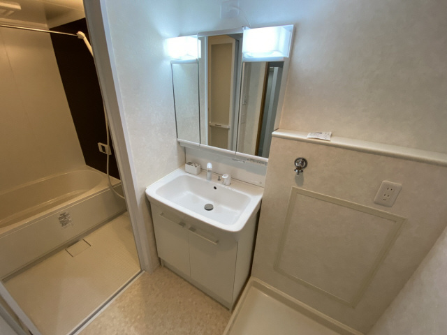 ミロワ西灘の洗面所