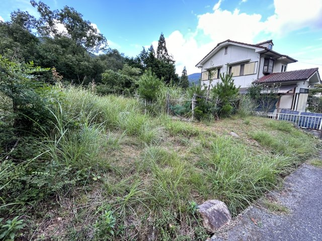 緑豊かな住環境◆敷地約６０坪◆南西向き◆現況更地◆建築条件無し売土地◆亀岡市畑野町千ケ畑クルビ谷の外観|現況更地(令和５年９月撮影)