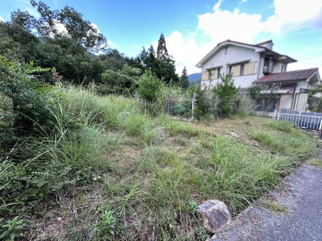 緑豊かな住環境◆敷地約６０坪◆南西向き◆現況更地◆建築条件無し売土地◆亀岡市畑野町千ケ畑クルビ谷の外観|現況更地(令和５年９月撮影)