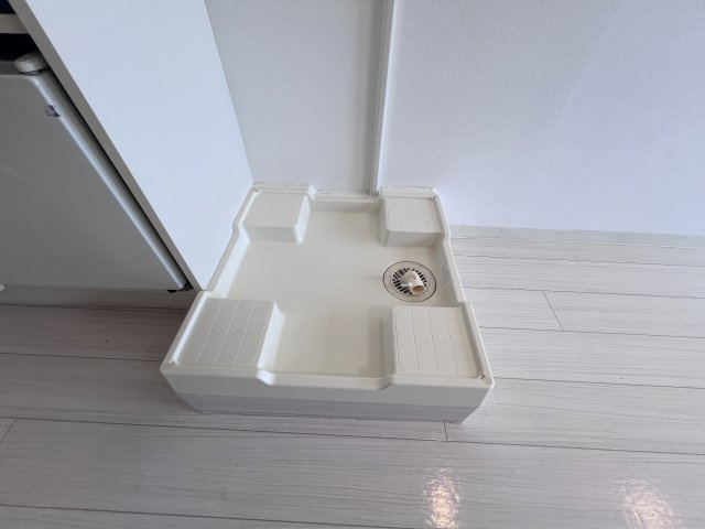 ココ・バレーのその他