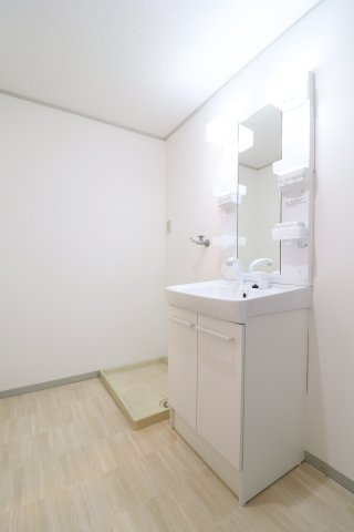 メゾンしゃらの木の洗面所