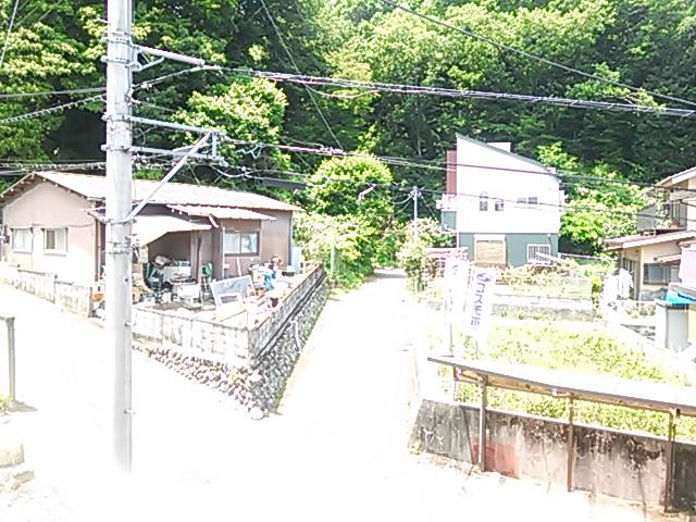 シャトーさわだⅠの展望|緑豊かです
※別室参考写真