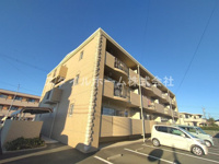 ウィンフィールド弥生の画像