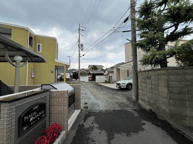 プラシード輝の展望