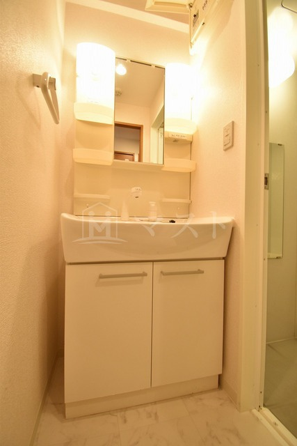 ロワジール　クスノキの洗面所