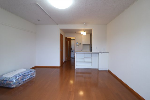 レオパレスリビエルブランシェⅡの居間・リビング