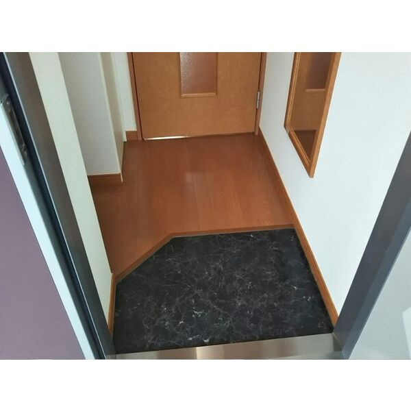 レオパレスリビエルブランシェⅡの玄関