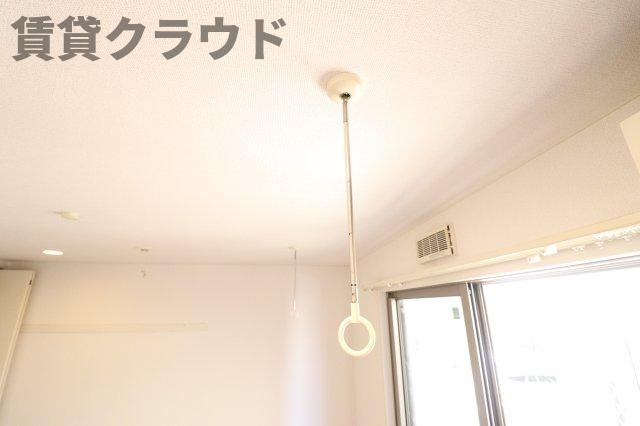 ディアステスタ港のその他