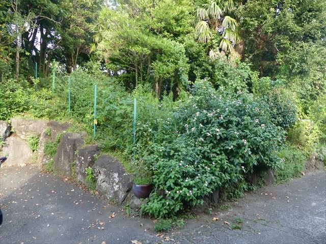 川奈　土地　550万円　400.00㎡の外観